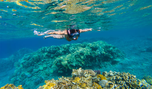 Five popular water sports in Playa del Carmen.