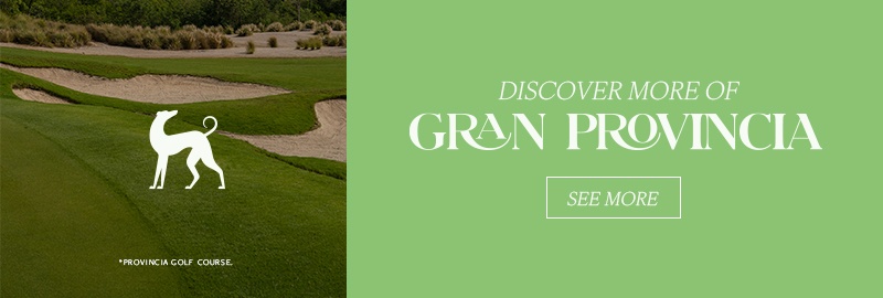 : Discover more of Gran Provincia 